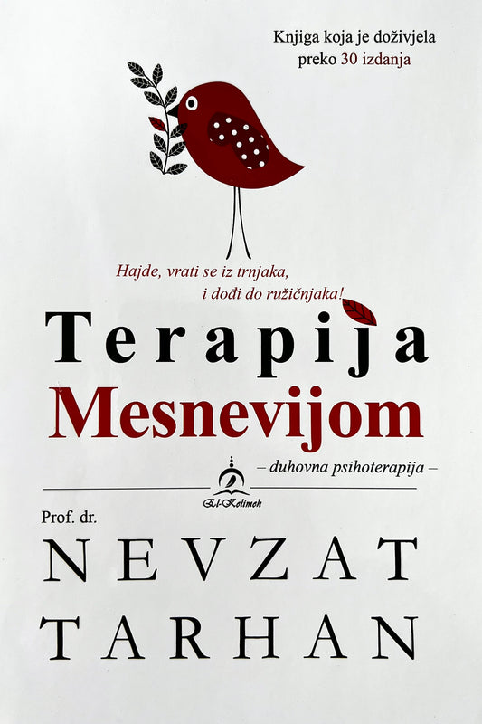 Terapija Mesnevijom