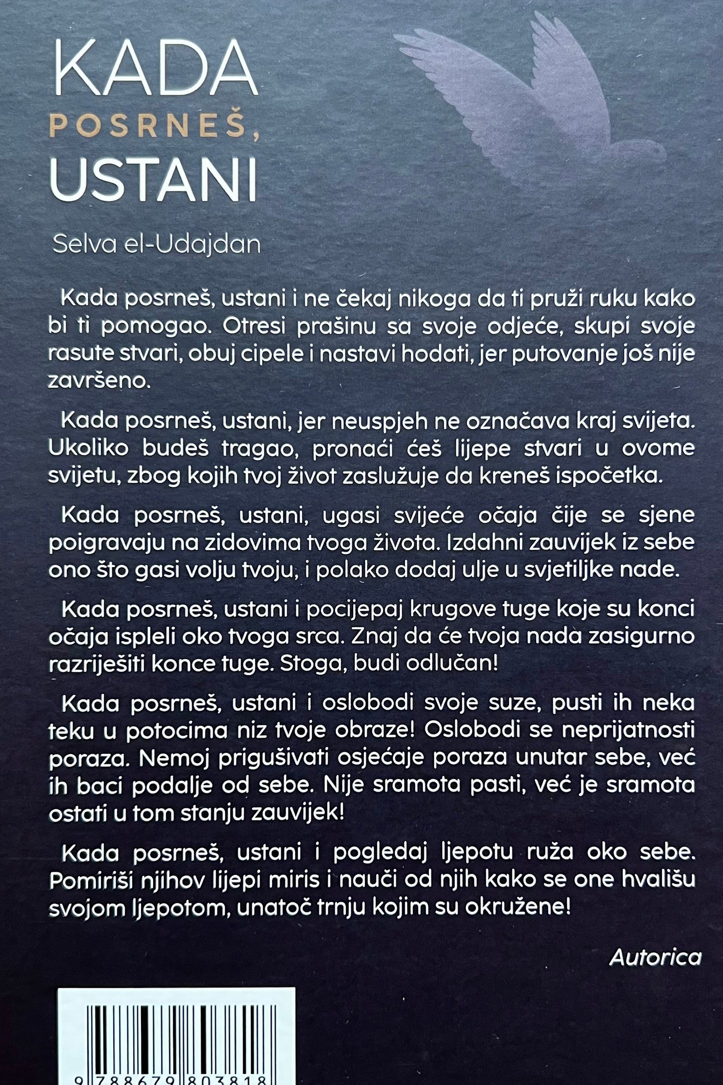 Kada posrneš ustani